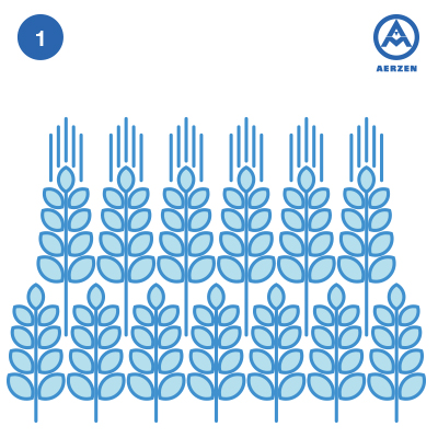 Trigo Trigo Aerzen DScrew