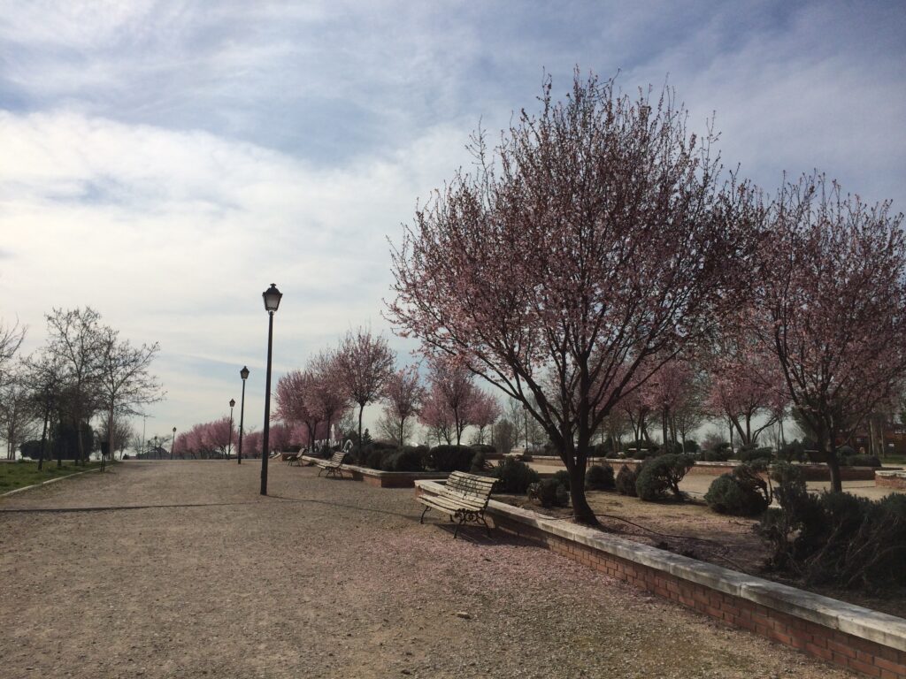 Mi Primavera de Beatriz Fernandez