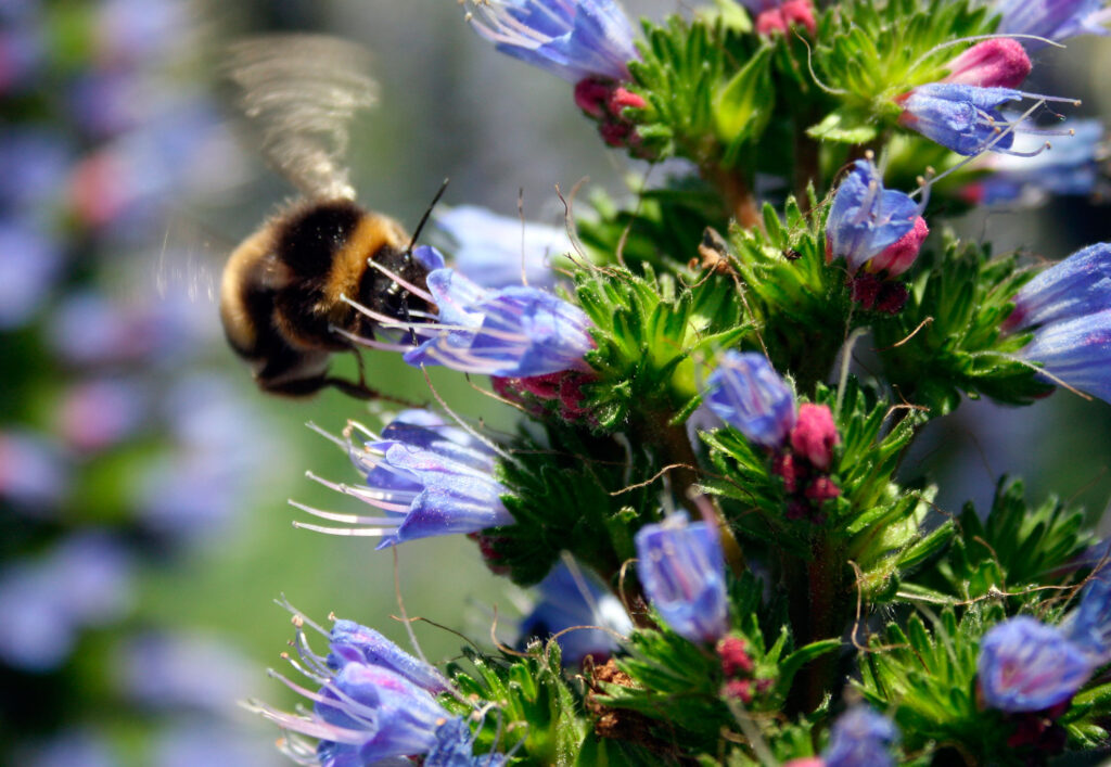 Mi Primavera de "Yo a Boston tu Albacete"
